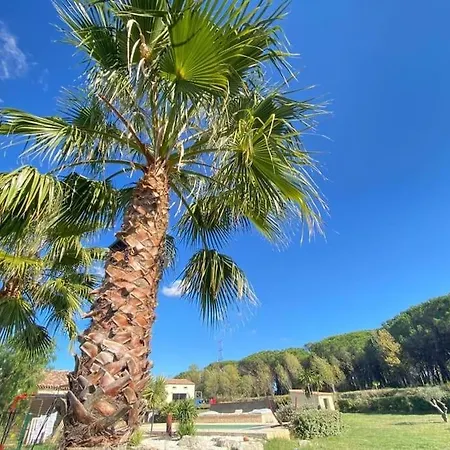 Piscine Jacuzzi 20 Min 5 Min Roquebrune-sur-Argens